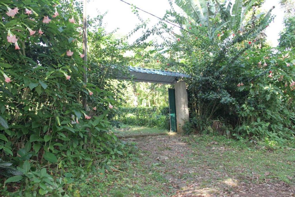 Sao Jose Bema Farm 빌라 외부 사진